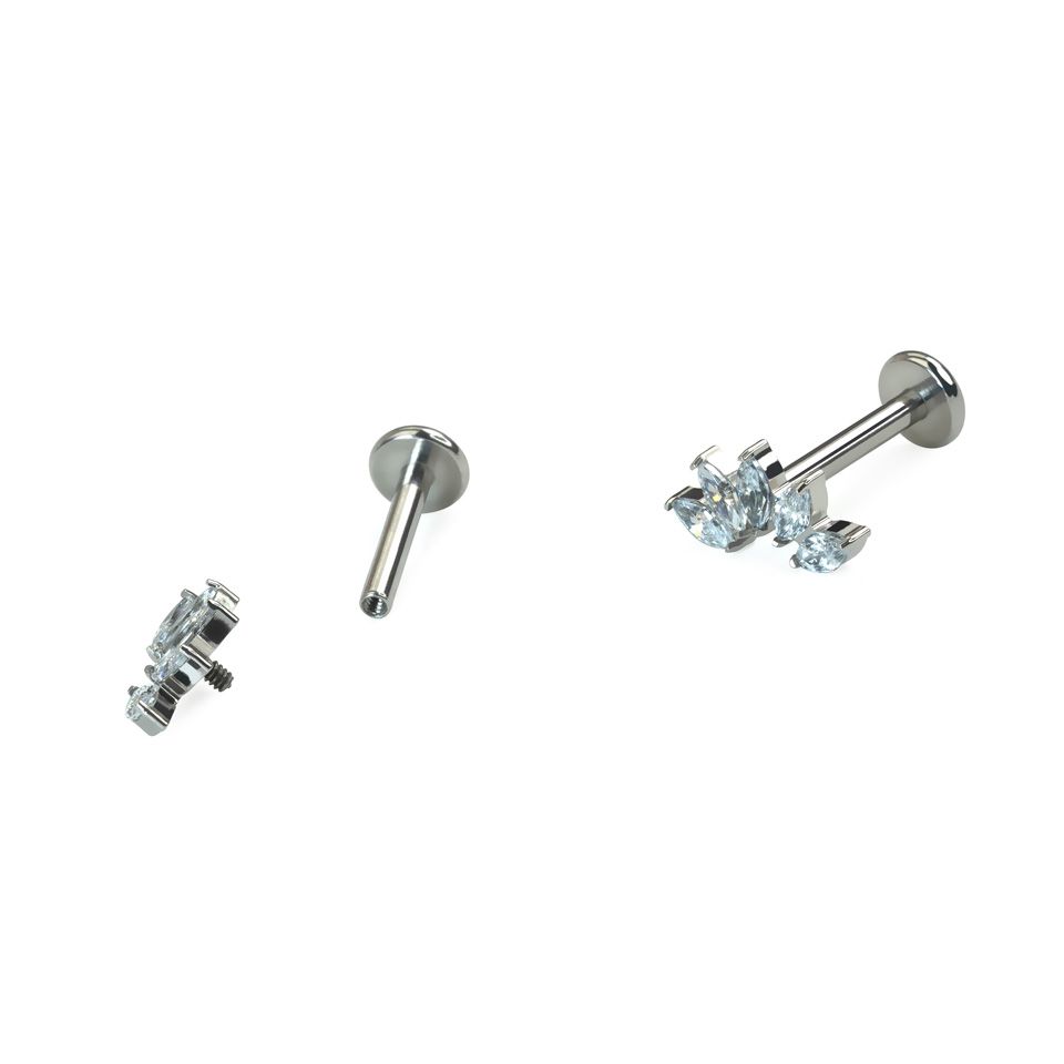 Labret incurvé en titane avec cinq pierres