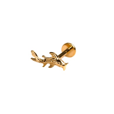 Labret en titane et carpe koï