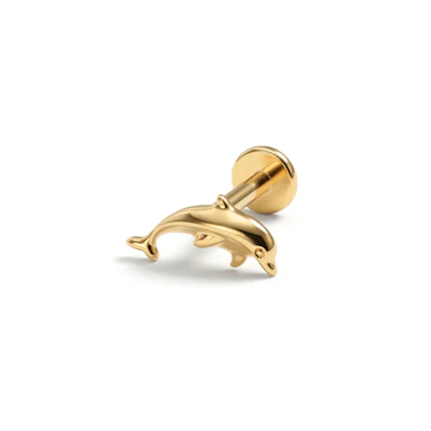Labret en titane et design dauphin