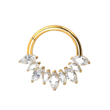 Anneau segment en titane avec pierres taille marquise