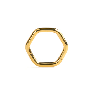 Anneau segment hexagonal en titane