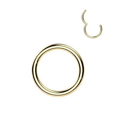 Anneau segment en titane plaqué or 24K