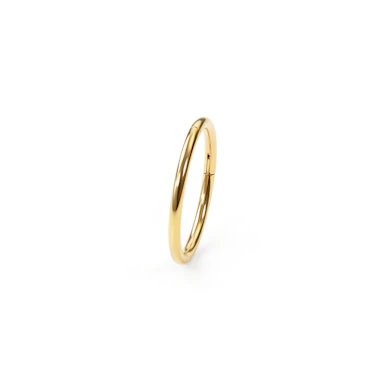 Anneau segment en titane plaqué or 24K
