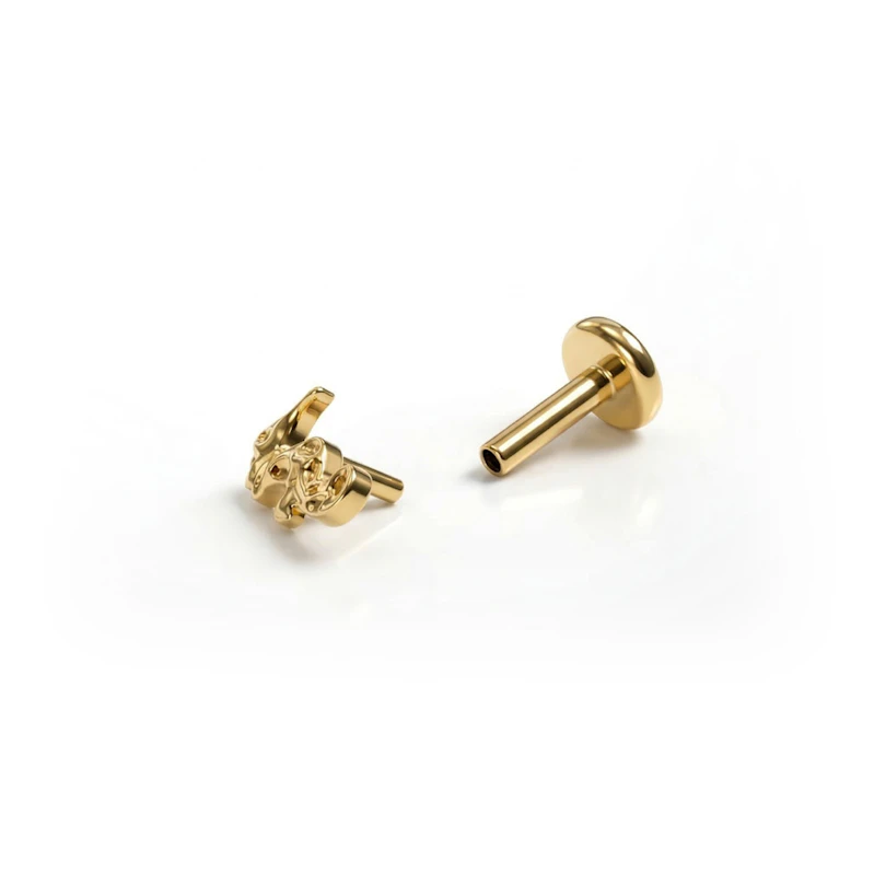 Labret en titane avec un hippocampe