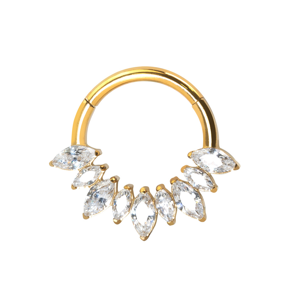 Anneau segment en titane avec pierres taille marquise