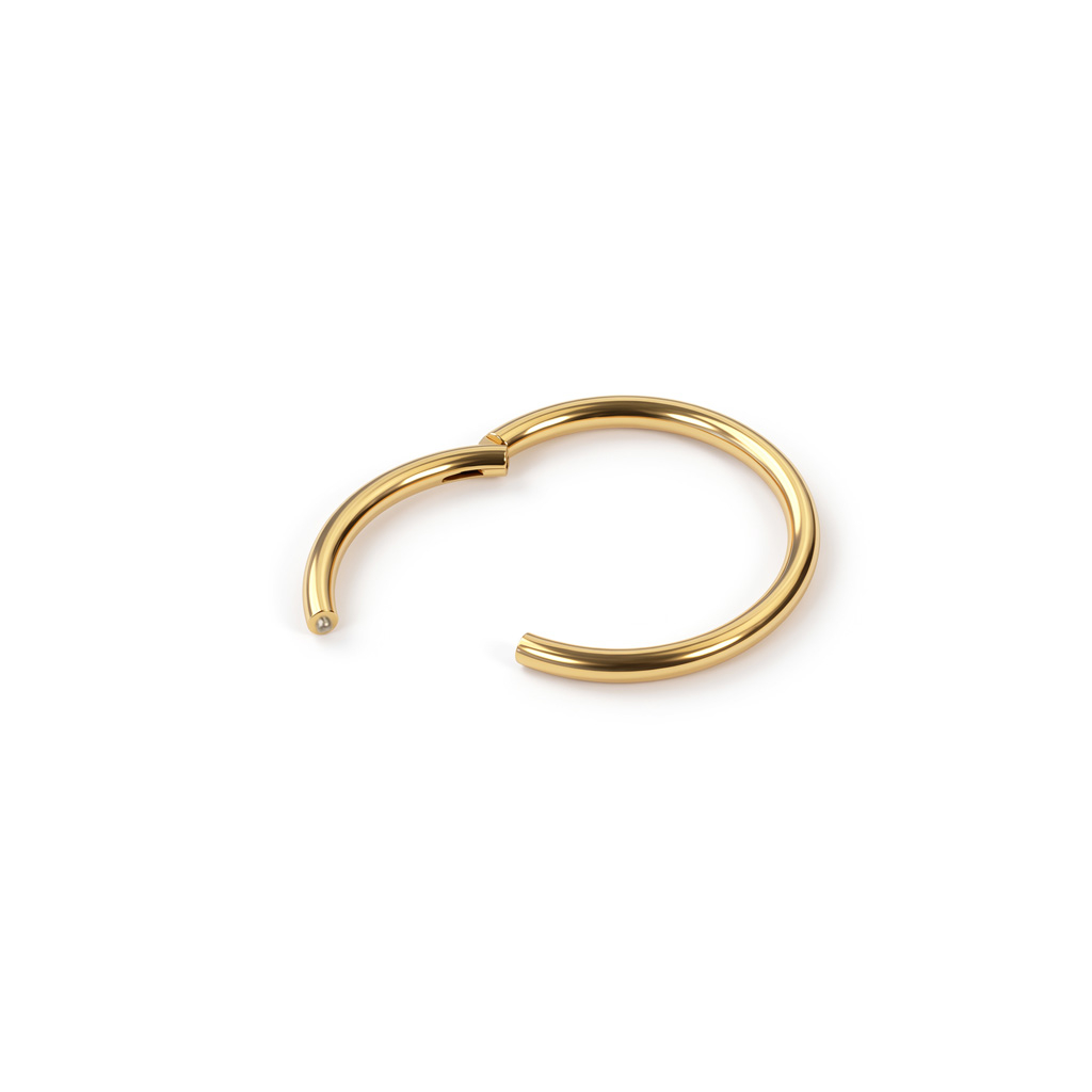 Anneau segment en titane plaqué or 24K